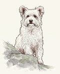 Example Custom Art print: a watercolor of a small white terrier sitting on a mossy rock, made from my photo.