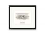 Framed watercolor print of Arched Rock on the Sonoma Coast, with a white mat in a black frame