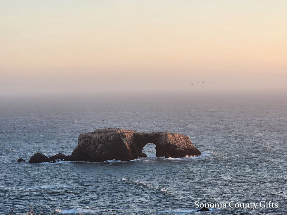 The photograph of Arched Rock on the Sonoma Coast that the drawing was made from, taken on location