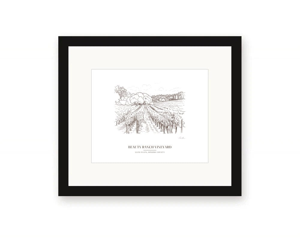 Framed line drawing print of the vineyard rows on Jack London's Beauty Ranch in Glen Ellen, with an open aisle between the vines, with a white mat in a black frame