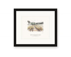 Framed watercolor print of the vineyard rows on Jack London's Beauty Ranch in Glen Ellen, with an open aisle between the vines, with a white mat in a black frame