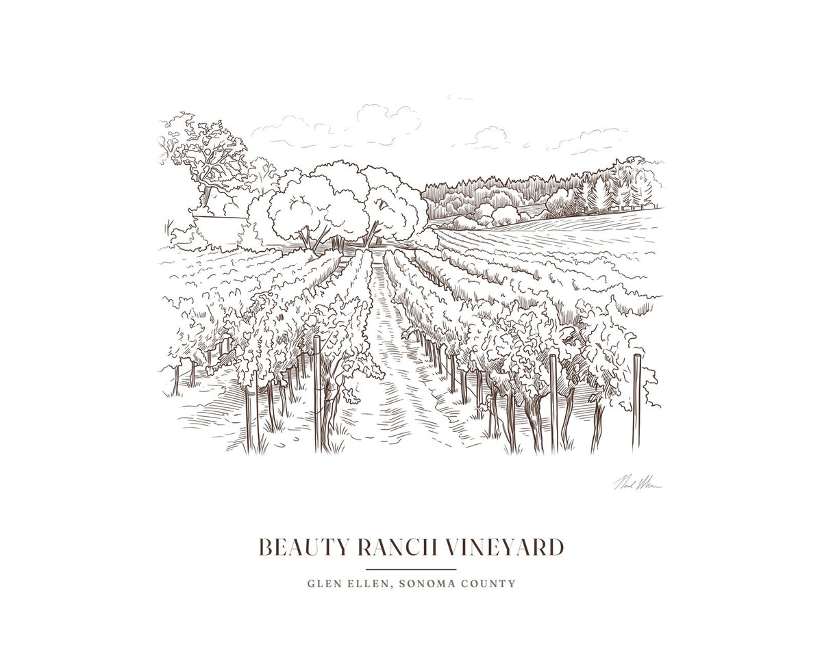 Line drawing print of the vineyard rows on Jack London's Beauty Ranch in Glen Ellen, with an open aisle between the vines, in brown line with the place name below