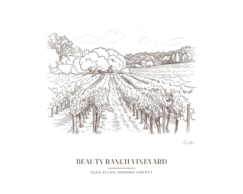Line drawing print of the vineyard rows on Jack London's Beauty Ranch in Glen Ellen, with an open aisle between the vines, in brown line with the place name below
