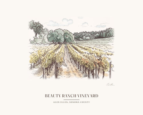 Watercolor print of the vineyard rows on Jack London's Beauty Ranch in Glen Ellen, with an open aisle between the vines, with the place name below