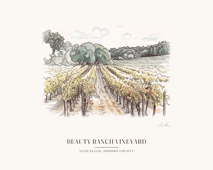 Beauty Ranch Vineyard Art Print