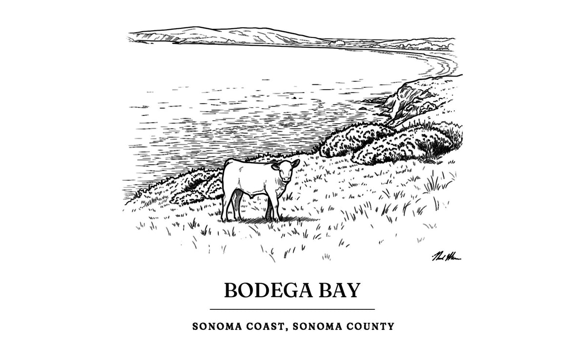 The ink drawing of a young calf above Bodega Bay that is engraved on this cutting board