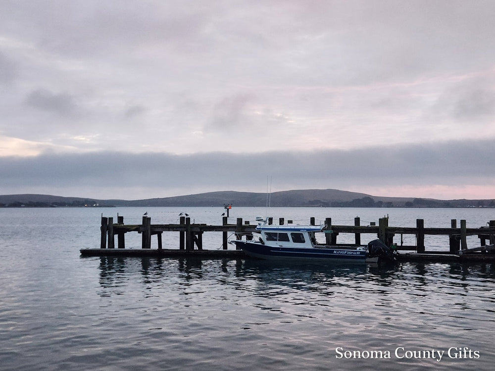 The photograph of the harbor at Bodega Bay that the drawing was made from, taken on location