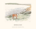 Watercolor art print of a young calf on a pasture above Bodega Bay, with the place name below