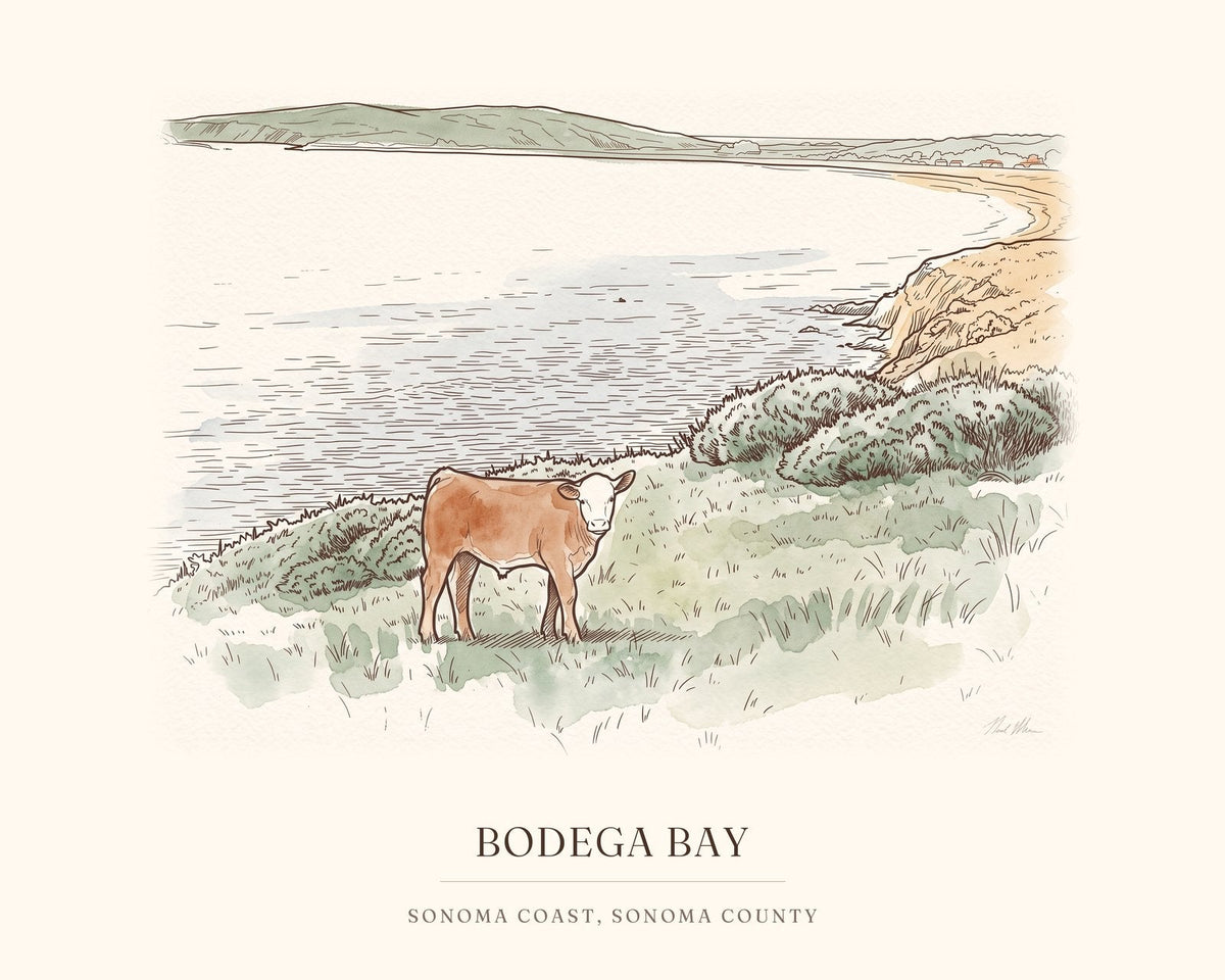 Watercolor art print of a young calf on a pasture above Bodega Bay, with the place name below