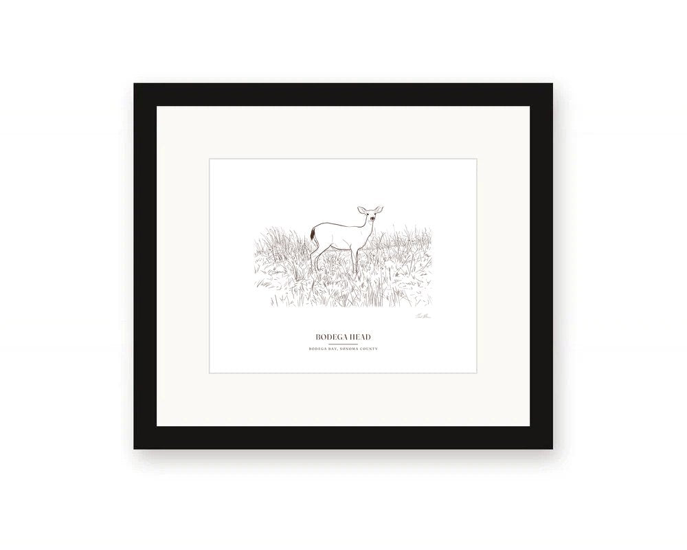 Framed ink drawing print of a black-tailed deer on Bodega Head, with a white mat in a black frame