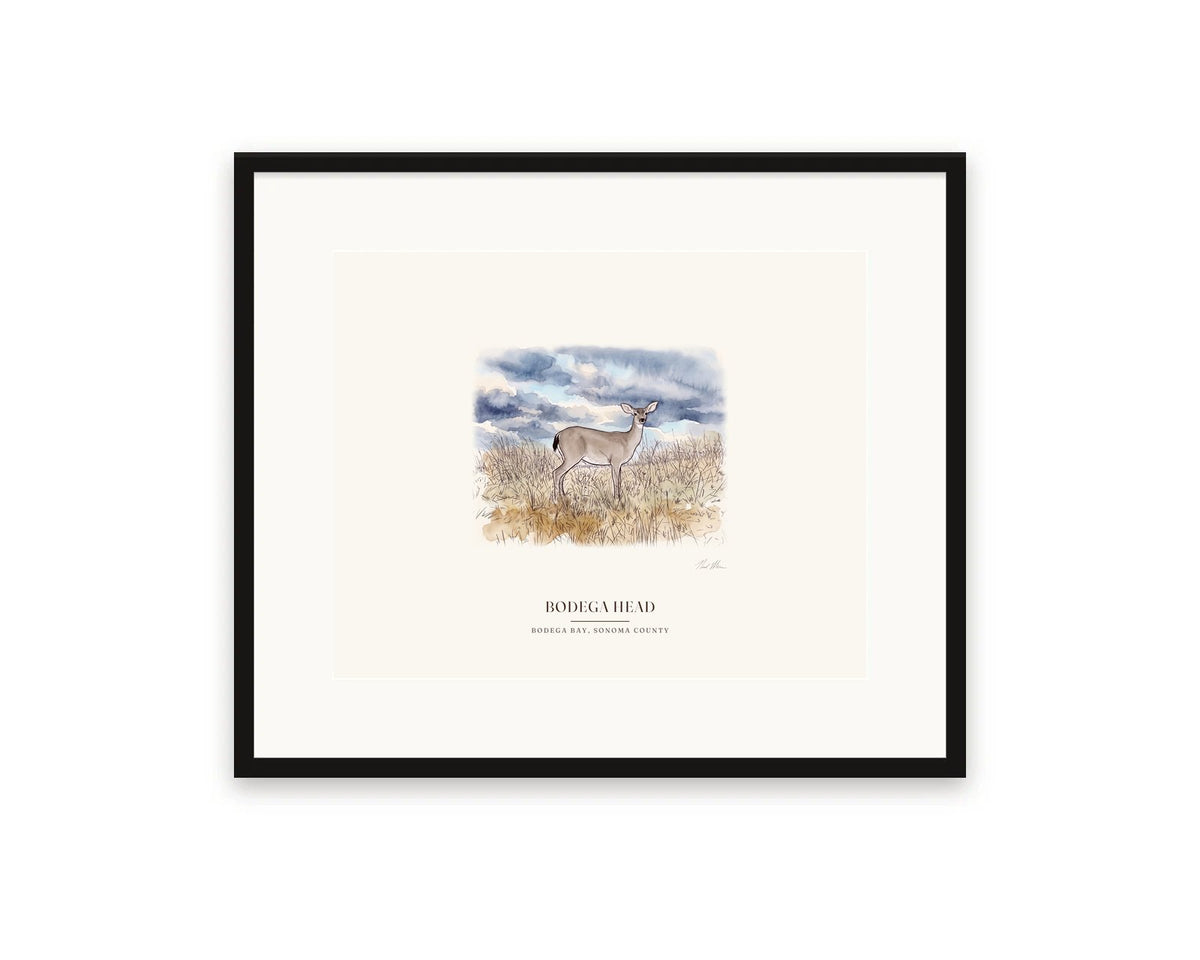 Watercolor print of a black-tailed deer on Bodega Head, 20 x 16 in, in a black frame with a wide white mat
