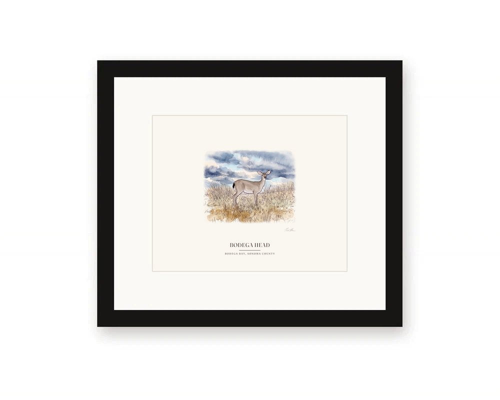 Framed watercolor print of a black-tailed deer on Bodega Head, with a white mat in a black frame