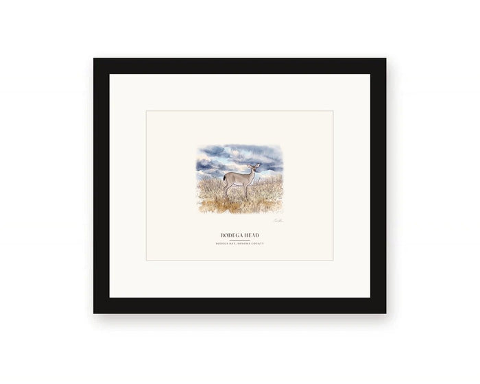 Bodega Head Deer Framed Print