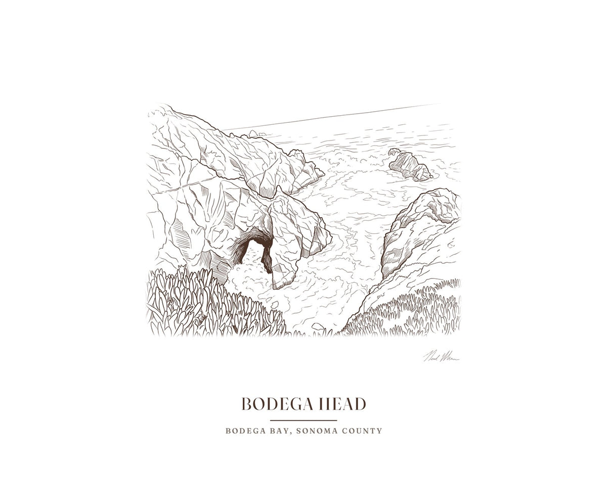 Ink drawing print of the sea arch at Bodega Head, signed, with the place name below