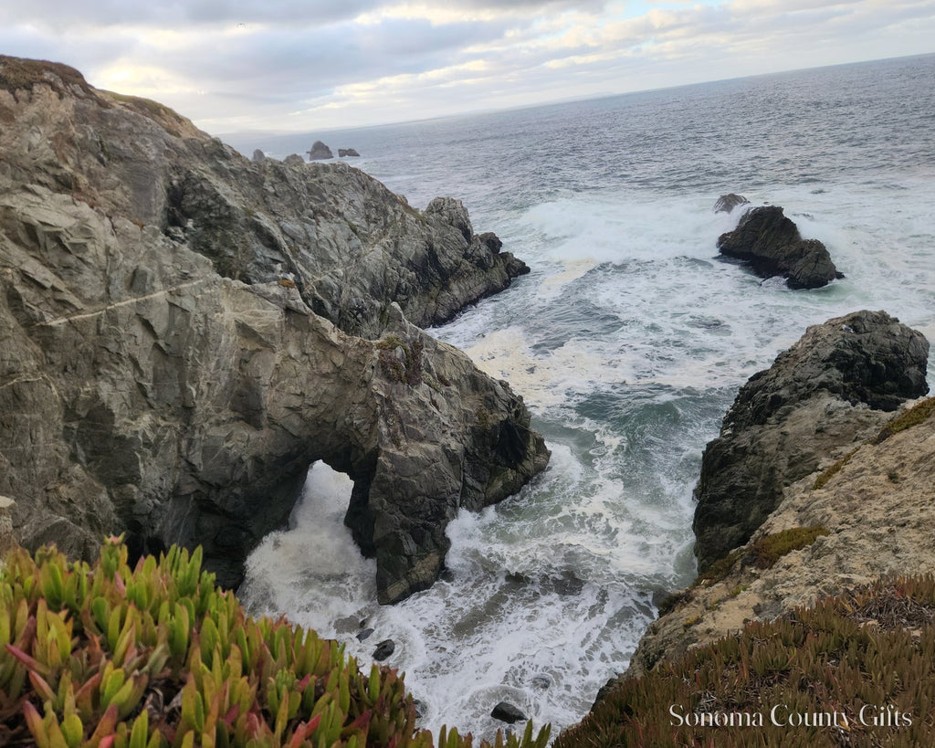 The photograph of the sea arch at Bodega Head taken on location