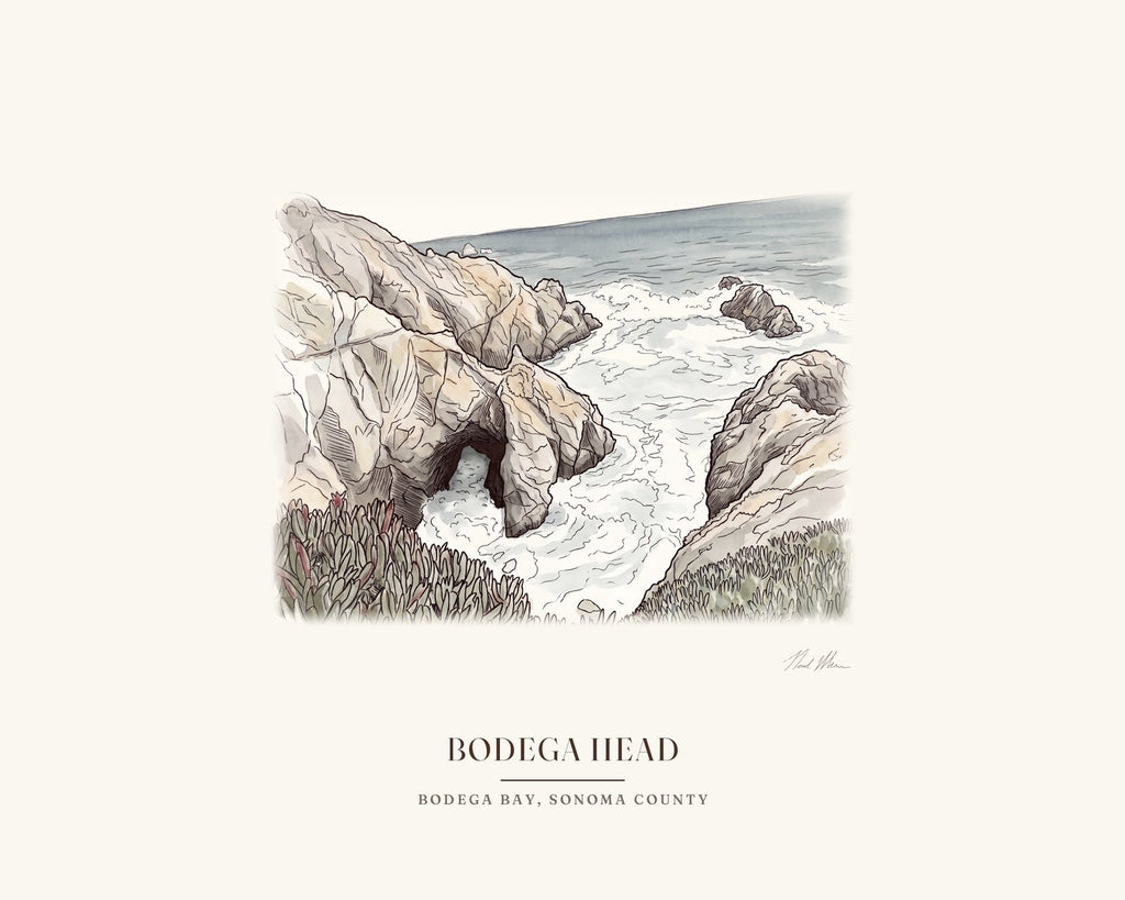 Watercolor print of the sea arch at Bodega Head, signed, with the place name below