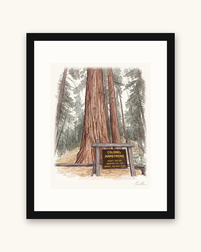 Colonel Armstrong Tree Framed Print