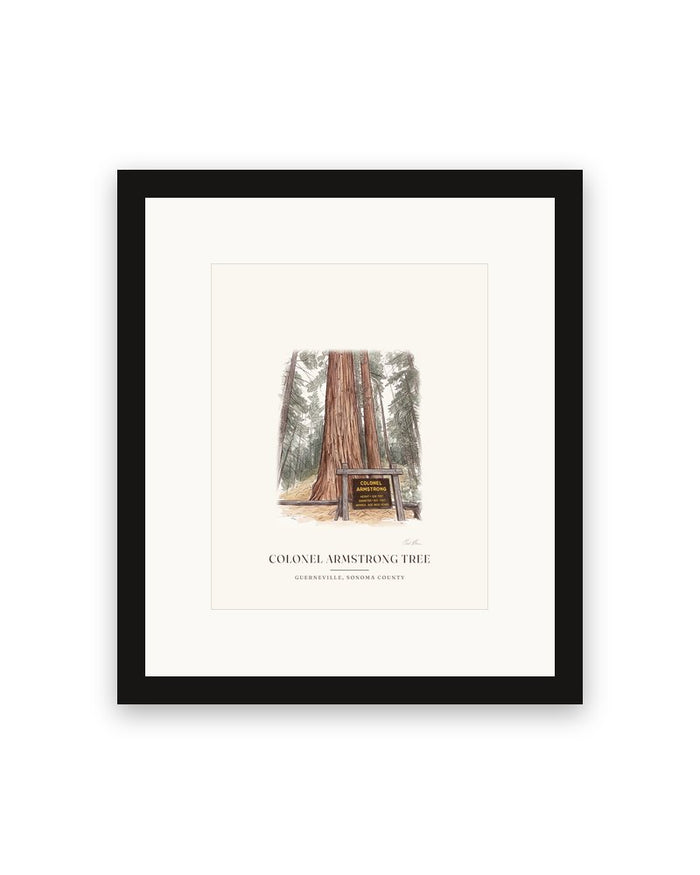 Colonel Armstrong Tree Framed Print