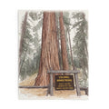 Colonel Armstrong Tree jigsaw puzzle assembled, a watercolor of the redwood and its trail sign in Guerneville