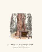 Watercolor print of the Colonel Armstrong redwood in Guerneville, signed, with the place name below