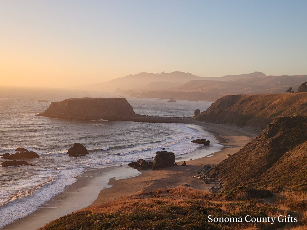 The photograph of Goat Rock on the Sonoma Coast near Jenner that the drawing was made from, taken on location