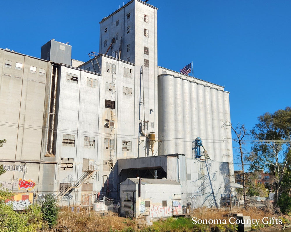 The photograph of the grain mill and silos on the Petaluma riverfront that the drawing was made from, taken on location