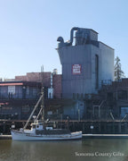 The photograph of the Great Petaluma Mill in downtown Petaluma that the drawing was made from, taken on location