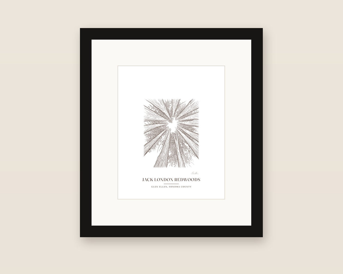 Framed line drawing print of a stand of redwoods in Jack London State Historic Park, Glen Ellen, with a white mat in a black frame