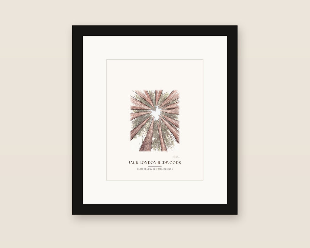 Framed watercolor print of a stand of redwoods in Jack London State Historic Park, Glen Ellen, with a white mat in a black frame