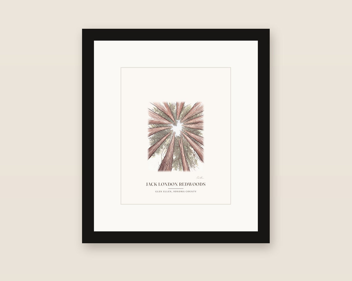Framed watercolor print of a stand of redwoods in Jack London State Historic Park, Glen Ellen, with a white mat in a black frame