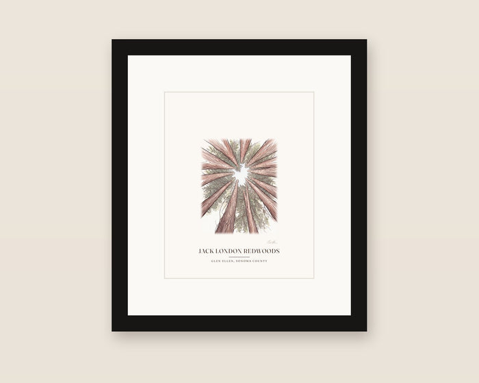 Jack London Redwoods Framed Print