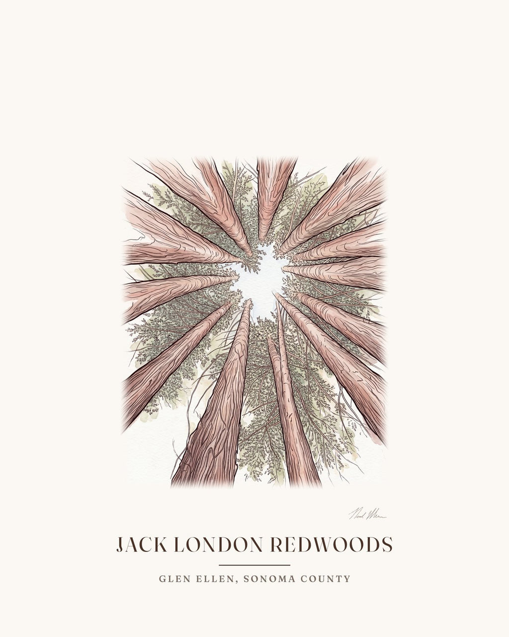 Watercolor print of a stand of redwoods in Jack London State Historic Park, Glen Ellen, with the place name below