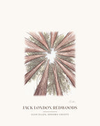 Watercolor print of a stand of redwoods in Jack London State Historic Park, Glen Ellen, with the place name below