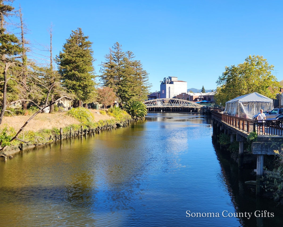 The photograph of the Petaluma River in downtown Petaluma that the drawing was made from, taken on location