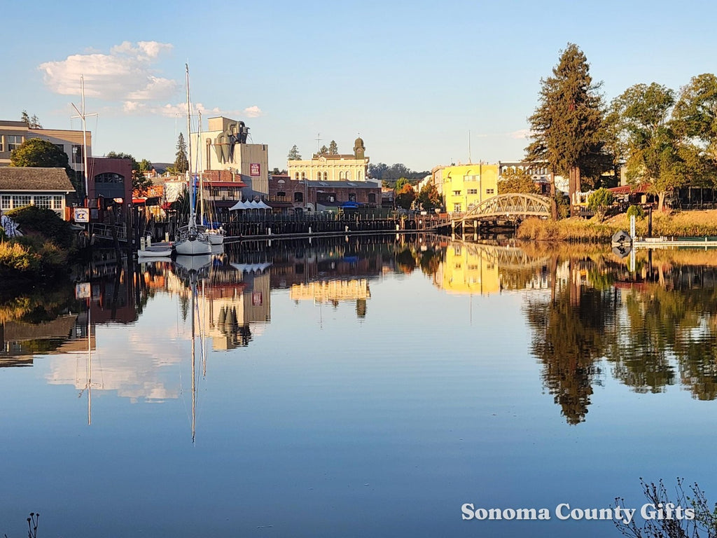 Noah's photograph of the Petaluma River turning basin that the watercolor was made from