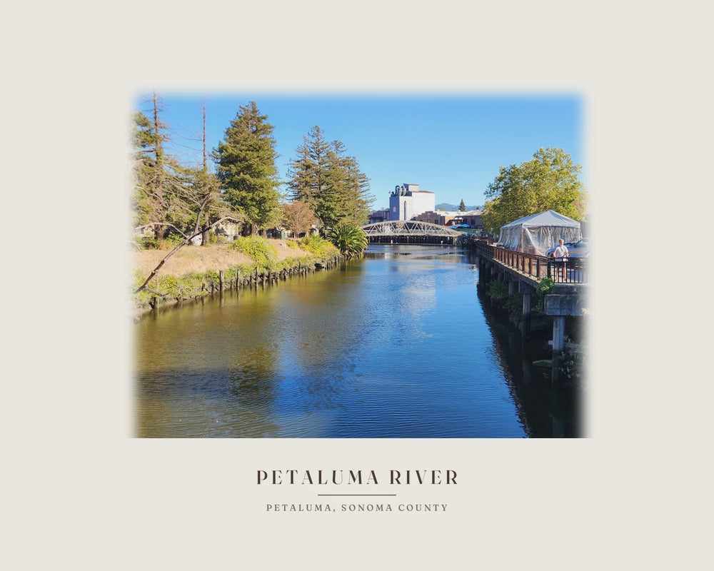 Petaluma River, from the photograph taken on location to the ink line work to the watercolor print