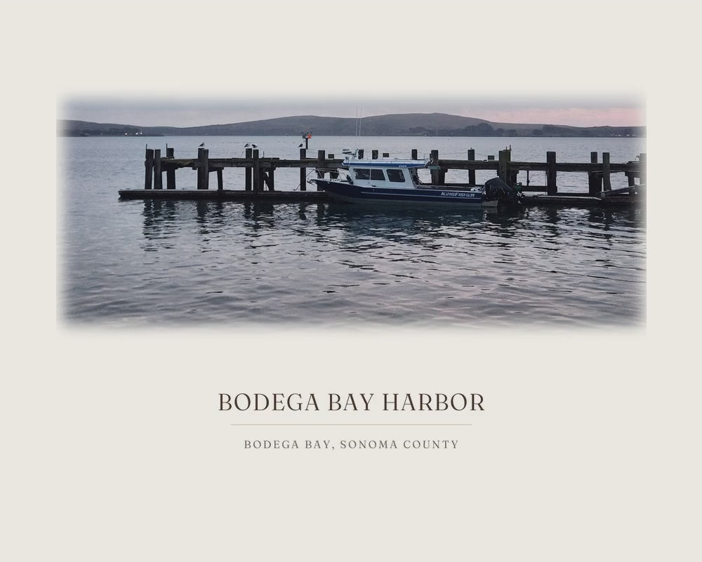 Bodega Bay harbor, from the photograph taken on location to the ink line work to the watercolor print
