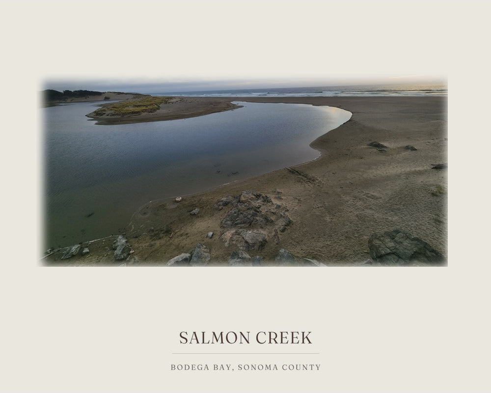 Salmon Creek, from the photograph taken on location to the ink line work to the watercolor print