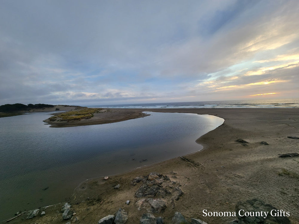 The photograph of the mouth of Salmon Creek at Salmon Creek Beach that the drawing was made from, taken on location