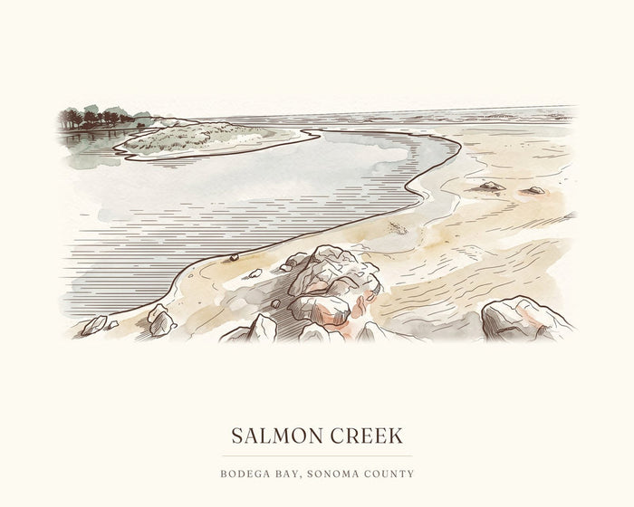 Salmon Creek Art Print