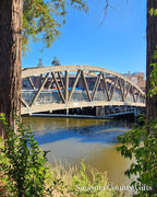 The photograph of the swing bridge over the Petaluma River that the drawing was made from, taken on location