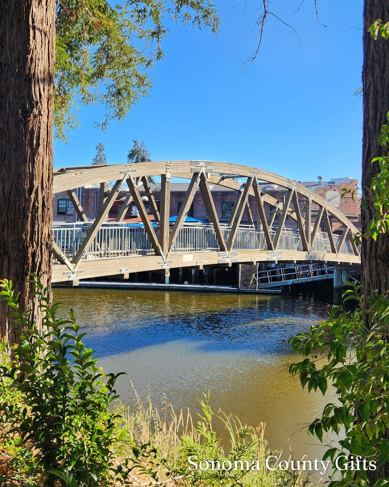 The photograph of the swing bridge over the Petaluma River that the drawing was made from, taken on location